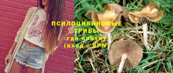 молекула духа Аркадак