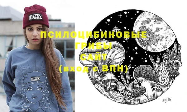 молекула духа Аркадак