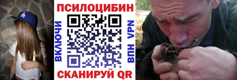 Псилоцибиновые грибы мицелий Рославль